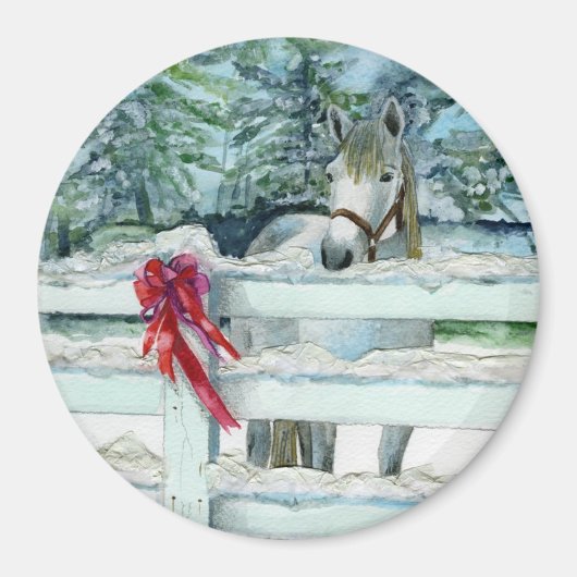 Harvey Magnet (Vorne)