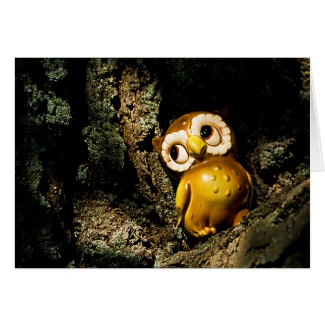 Harvey the Owl I (Vorderseite (Horizontal))