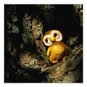 Harvey the Owl I Fotodruck