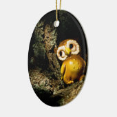 Harvey the Owl I Keramikornament (Links)