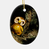 Harvey the Owl I Keramikornament (Hinten)