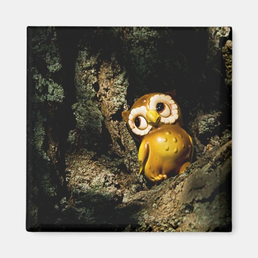 Harvey the Owl I Magnet (Vorne)