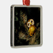 Harvey the Owl I Ornament Aus Metall (Rechts)