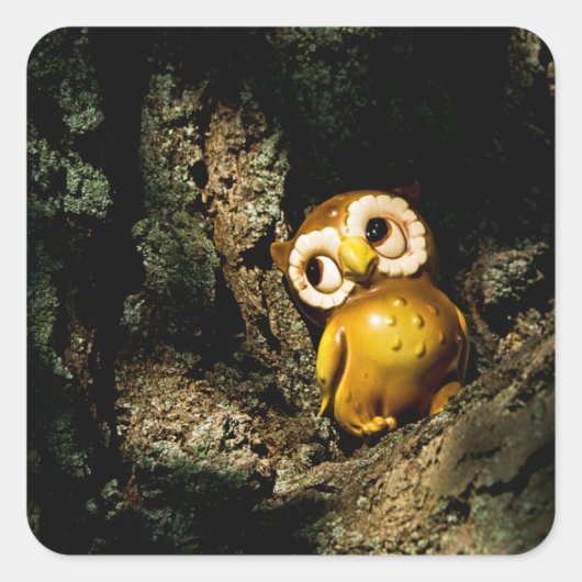 Harvey the Owl I Quadratischer Aufkleber (Vorderseite)