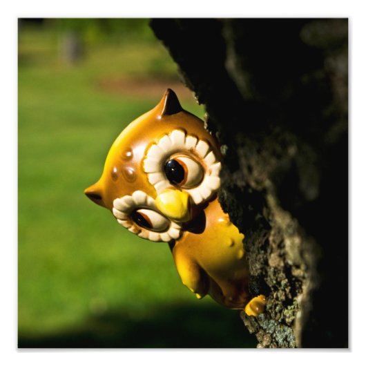 Harvey the Owl II Fotodruck (Vorne)