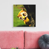 Harvey the Owl II Leinwanddruck (Insitu (Wohnzimmer))