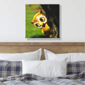 Harvey the Owl II Leinwanddruck (Insitu (Schlafzimmer))