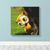 Harvey the Owl II Leinwanddruck (Insitu (Holzboden))