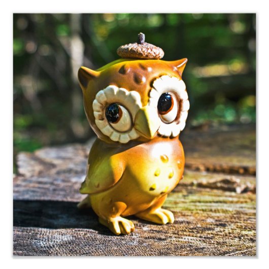 Harvey the Owl III Fotodruck (Vorne)