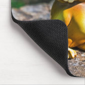 Harvey the Owl III Mousepad (Ecke)