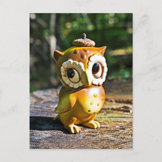 Harvey the Owl III Postkarte (Vorderseite)