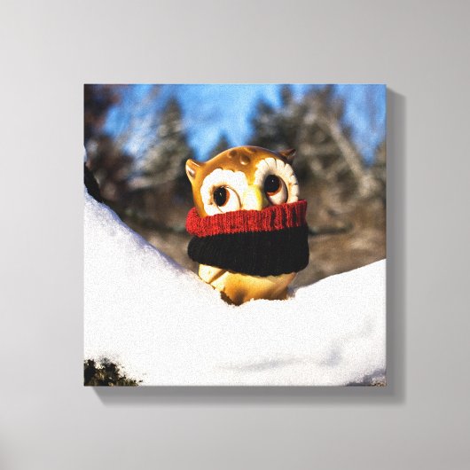 Harvey the Owl IV Leinwanddruck (Vorderseite)