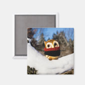 Harvey the Owl IV Magnet (Vorderseite/Rückseite)