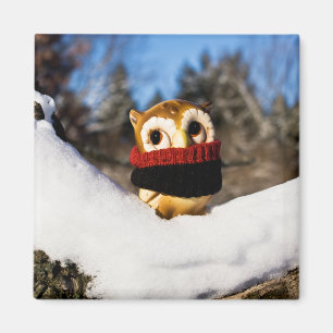 Harvey the Owl IV Magnet
