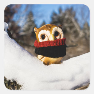 Harvey the Owl IV Quadratischer Aufkleber