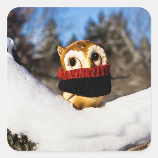 Harvey the Owl IV Quadratischer Aufkleber (Vorderseite)
