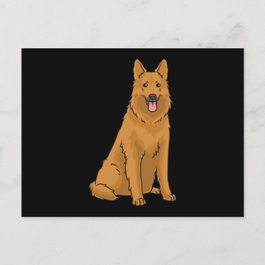 Harzer Fuchs Dog Postkarte (Vorderseite)