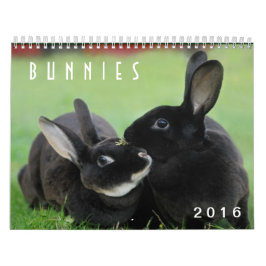 Häschen 2016 - 12 Monate niedliche Kalender