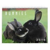 Häschen 2016 - 12 Monate niedliche Kalender (Titelbild)