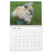 Häschen 2016 - 12 Monate niedliche Kalender (Jan 2027)