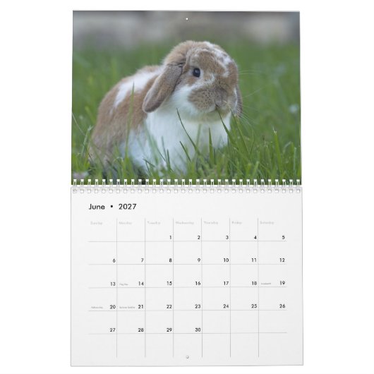 Häschen 2016 - 12 Monate niedliche Kalender (Jun 2027)