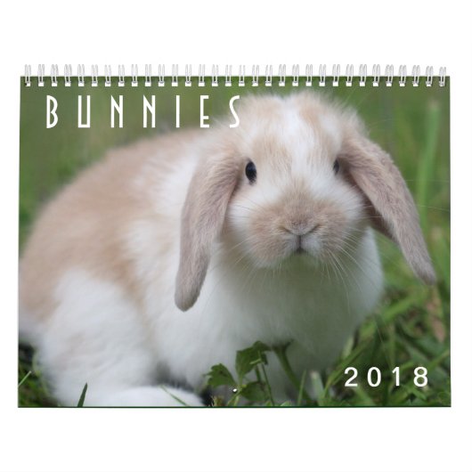 Häschen 2018 - 12 Monate niedliche Kalender (Titelbild)