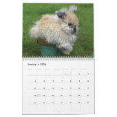 Häschen 2018 - 12 Monate niedliche Kalender (Jan 2026)