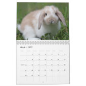 Häschen 2018 - 12 Monate niedliche Kalender (Mär 2027)