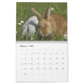 Häschen 2018 - 12 Monate niedliche Kalender (Feb 2027)