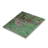 Häschen Fliese (Seite)