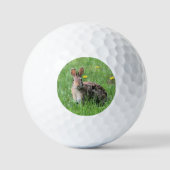 Häschen Golfball (Vorderseite)