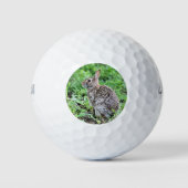 Häschen Golfball (Vorderseite)