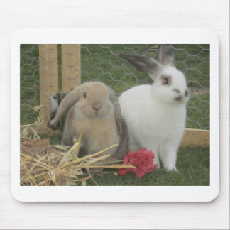 Häschen Mousepad