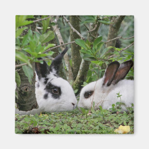 Häschen-Paare Magnet