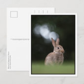 Häschen Postkarte (Vorne/Hinten)