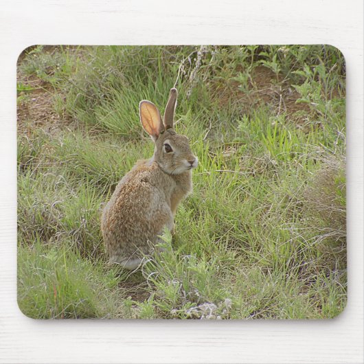 Häschen schaut über Schulter Mousepad (Vorne)