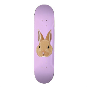 Häschen Skateboard