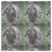 Häschen Stoff (Muster)