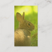 Häschen-Visitenkarten Visitenkarte (Rückseite)