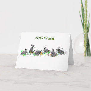 Häschen-Wiesen-Karte (Geburtstag) Karte
