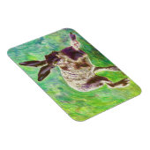 Hase 2011 magnet (Rechte Seite)