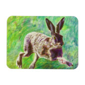 Hase 2011 magnet (Horizontal)