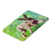 Hase 2011 magnet (Linke Seite)