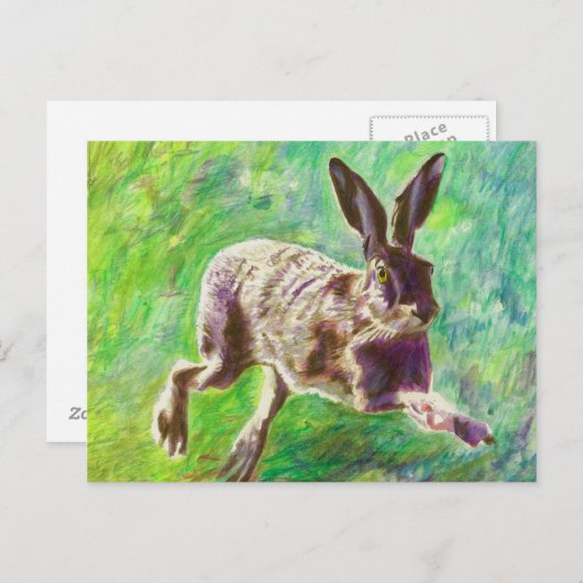 Hase 2011 postkarte (Vorne/Hinten)