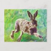 Hase 2011 postkarte (Vorderseite)