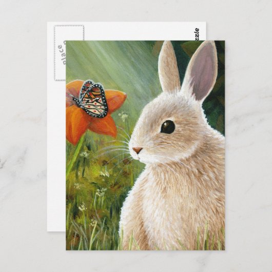 Hase 55 Postkarte (Vorne/Hinten)