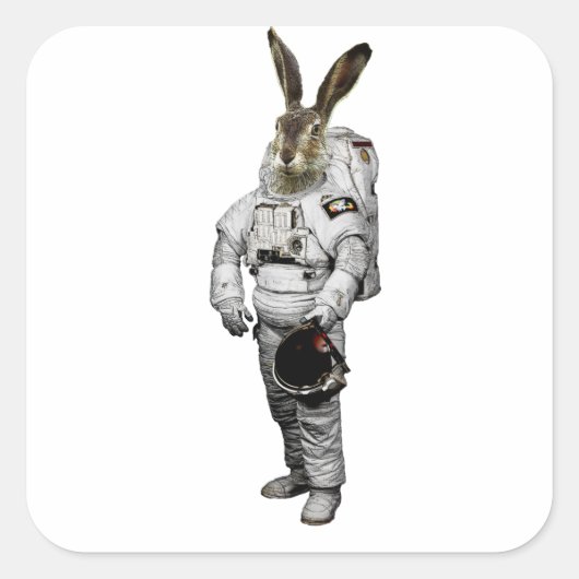 Hase Astronaut Aufkleber (Vorderseite)