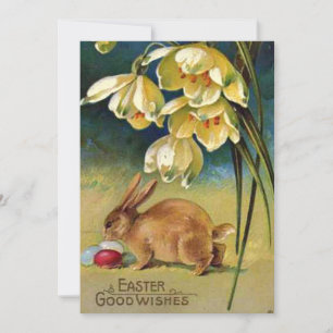 Hase, Eier und Schneeglöckchen, Vintage 1910 Feiertagskarte