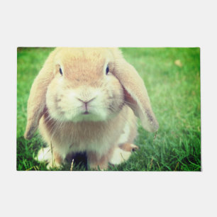 Hase Fußmatte