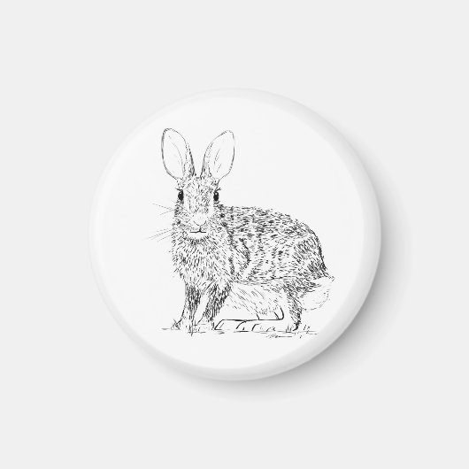 Hase / Kaninchen Magnet (Vorne)